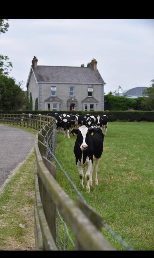 Ballyginniff Farm House Crumlin  Exterior photo
